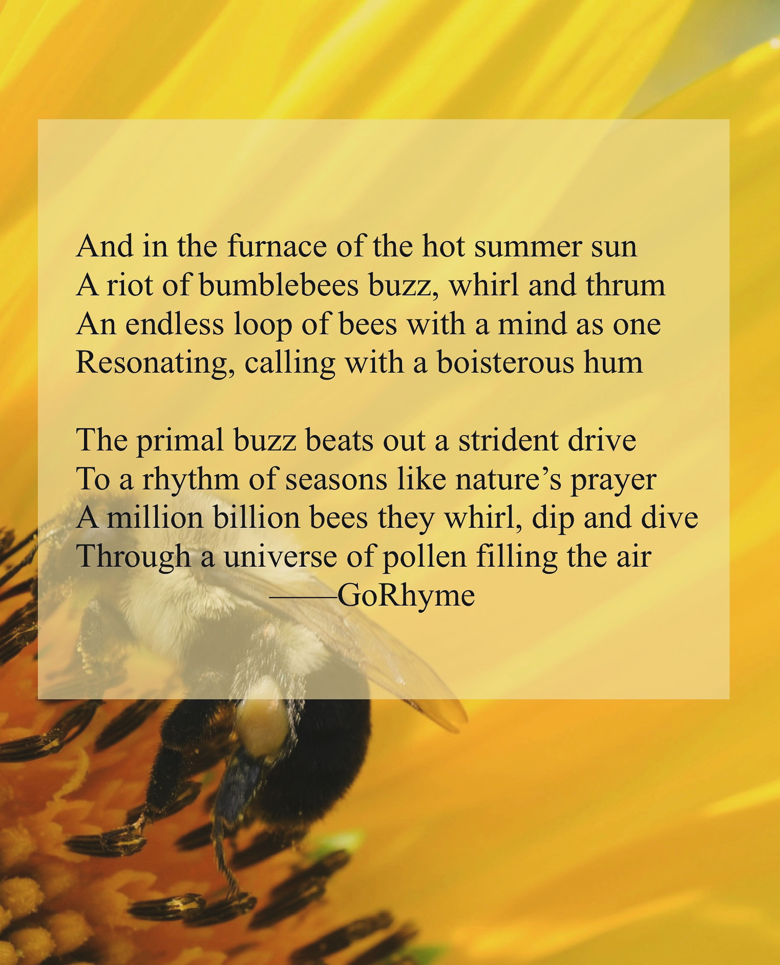 Poetry by Kelly Gray